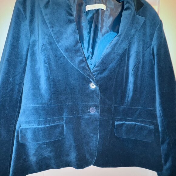 New York & Company – Jewel-Toned Blue Velvet Single-Breasted Blazer (Size 18) - Picture 2 of 6